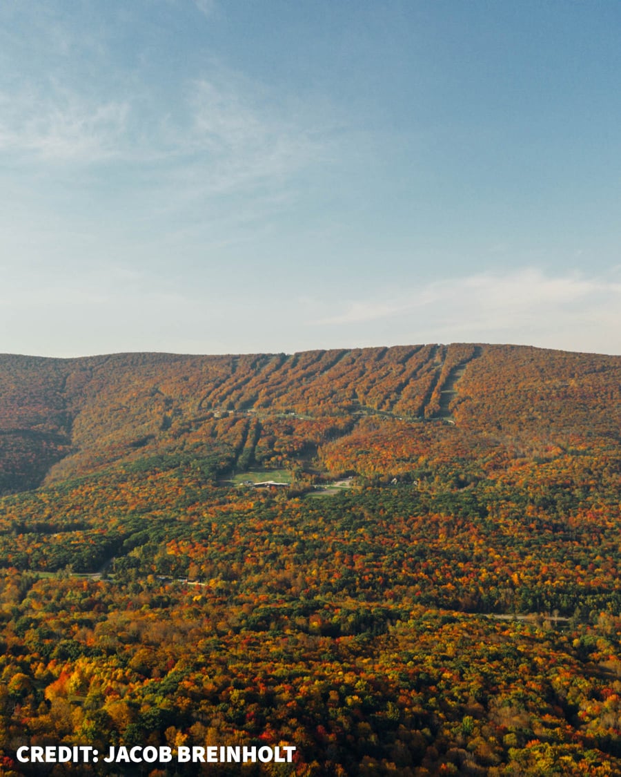 Foliage is maxxed out in the Catskills!
