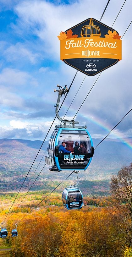 Scenic Gondola Rides at the Fall Festival